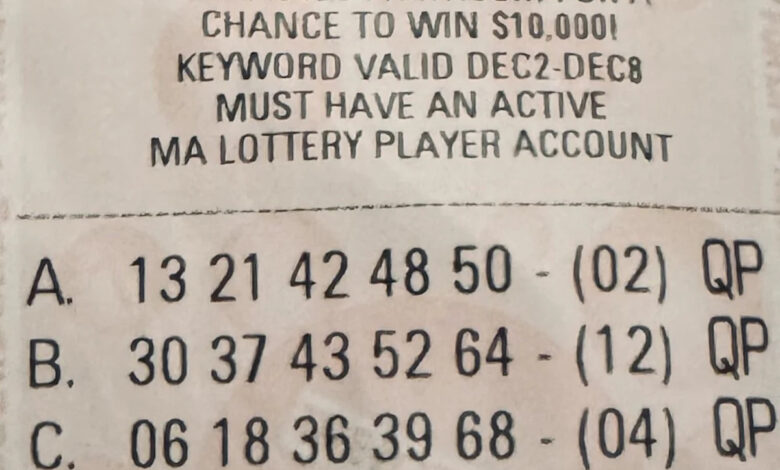USA TODAY