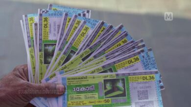 Karunya Plus KN-748 Kerala Lottery Results (04.04.2026) – Live draw, winning numbers & prize details