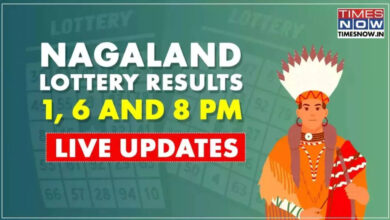 Nagaland Lottery Sambad Result Today 1 PM, 6 PM, 8 PM Live (28-02-2025) Dear MEGHNA Friday; Rs 1 Crore First Prize; Result OUT