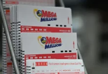 Mega Millions jackpot hits $533M for March 10. See winning numbers.