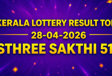 Kerala Sthree Sakthi SS 517 lottery results out today April 28, 2026; Rs 1 crore prize winning number and full list here