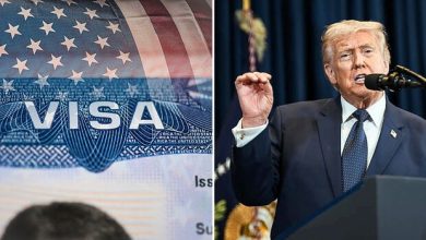 U.S. Court Rules on Stalled Green Card Applications Ahead of Lottery Opening