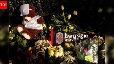After the Brown University shooting, the US pauses a little-known diversity visa program - The Times of India
