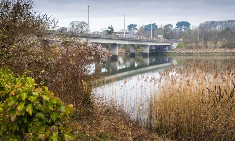 Lottery funding to help restore Teifi river