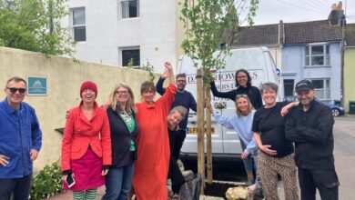 Funding boost to help expand community tree planting scheme