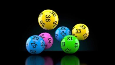 Daily Lotto and Daily Lotto Plus results: Wednesday, 13 May 2026