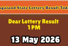 Nagaland Lottery Result Today, 13/05/2026: Sambad DEAR 1PM Tuesday Weekly Winners List;  Who Won Rs 1Crore?