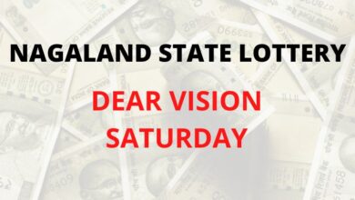 Nagaland State Lottery Sambad Dear Vision Saturday result fo