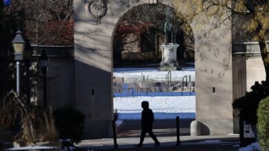 Is the Diversity Visa a Security Risk?