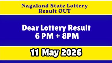 Nagaland Lottery Results Today, May 11: Dear Lottery 6 PM & 8 PM Results OUT; Check Winners & Claim Process