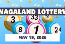 Nagaland Dear Shine lottery results: ₹1 crore winner announced for May 19; view the complete results