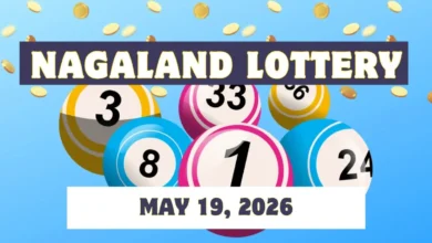 Nagaland Dear Shine lottery results: ₹1 crore winner announced for May 19; view the complete results