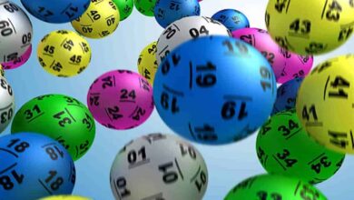 Daily Lotto and Daily Lotto Plus results: Tuesday, 19 May 2026