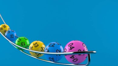 Daily lotto results