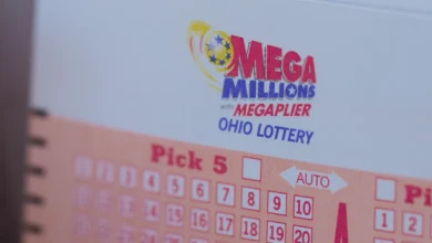Are you a winner in the Friday Oct 31 Mega Millions drawing? Check winning numbers