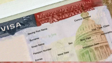 Visa Pause in 2026