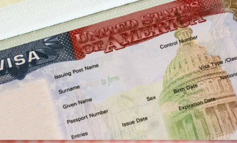 Visa Pause in 2026