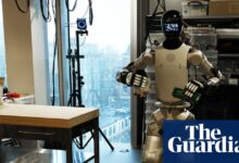 AI will help make a Nobel prize-winning discovery within a year, says Anthropic co-founder