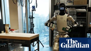 AI will help make a Nobel prize-winning discovery within a year, says Anthropic co-founder