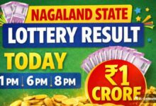 Nagaland Lottery Results Today (21-05-2026) Live, Dear 6PM & Dear 8PM Lottery: Dear Thursday Lottery Winners