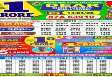 Nagaland Lottery Sambad Result Today, 14.04.2026 LIVE: Dear 1PM Tuesday Weekly Lucky Draw; Check Winners List