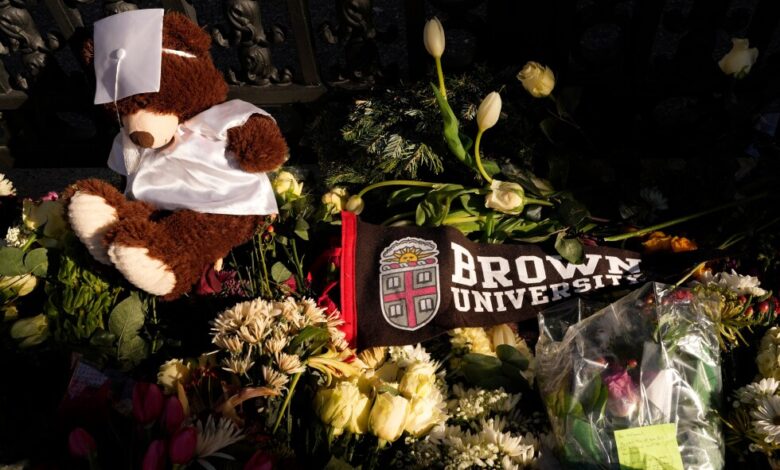 A little-known diversity visa program is paused after the Brown University shooting