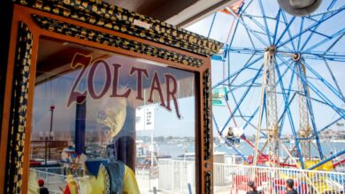 Zoltar machine Powerball jackpot lottery win