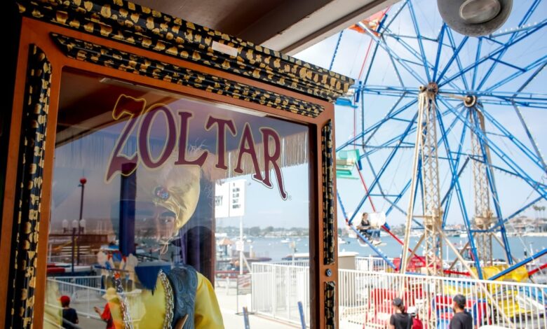 Zoltar machine Powerball jackpot lottery win