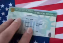 'Fits the pattern': Former immigration official says Trump could permanently end Green Card program as lottery stops - The Times of India
