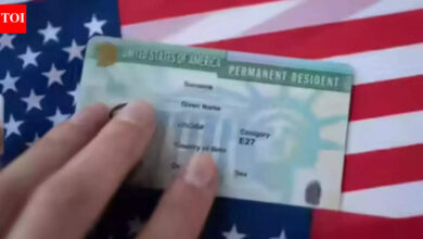 'Fits the pattern': Former immigration official says Trump could permanently end Green Card program as lottery stops - The Times of India