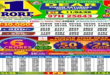 Nagaland State Sambad Lottery Result Today, 11 April 2026 LIVE: Dear 1PM Saturday Weekly Lucky Draw Winners