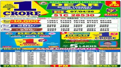 Nagaland State Sambad Lottery Result Today, 7-04-2026 LIVE: Dear 1PM Tuesday Weekly Lucky Draw For Rs 1 Crore