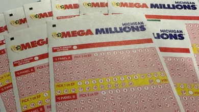 Mega Millions winning numbers. Did you win Friday?