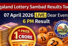 Nagaland Lottery Sambad Results Today 07 April 2026 LIVE: Dear Evening 6 PM Result Out, 1st Prize Rs.1 Crore