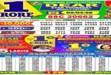 Nagaland State Dear Lottery Sambad Result Today, 2 April 2026 LIVE: 1PM Thursday Weekly Lucky Draw Winners