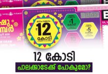 Kerala Bumper Lottery Result Today LIVE: Check Winning Numbers For Vishu Bumper, Lottery Chart & Results Online