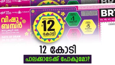 Kerala Bumper Lottery Result Today LIVE: Check Winning Numbers For Vishu Bumper, Lottery Chart & Results Online