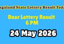 Nagaland Lottery Dear Day Sunday 6 PM Result Today, May 24, 2026 LIVE: Check Prize Details & Claim Process