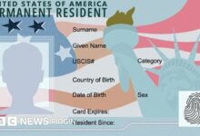 US visa lottery: US suspend diversity lottery immigrant visa programme (DV1) lottery scheme - BBC News Pidgin
