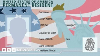 US visa lottery: US suspend diversity lottery immigrant visa programme (DV1) lottery scheme - BBC News Pidgin