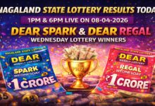Nagaland Lottery Results Today Of 1PM & 6PM On 08-04-2026; Dear Spark & Dear Regal Wednesday Lottery Winners