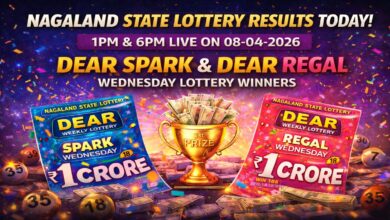 Nagaland Lottery Results Today Of 1PM & 6PM On 08-04-2026; Dear Spark & Dear Regal Wednesday Lottery Winners