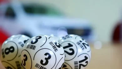 UAE Lottery announces winning numbers in latest draw; 2,929 win Dh100 each