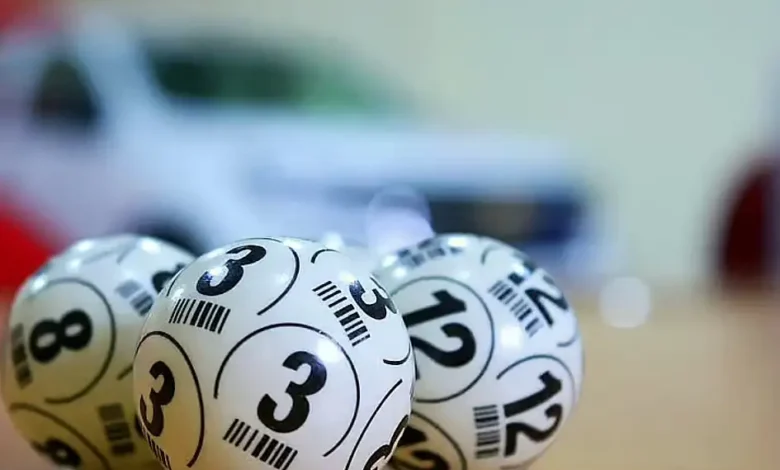 UAE Lottery announces winning numbers in latest draw; 2,929 win Dh100 each