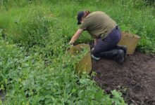 Horton Farm receives £20,000 from National Lottery fund to boost volunteer programme