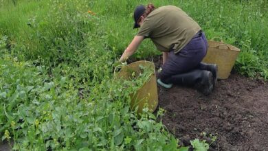 Horton Farm receives £20,000 from National Lottery fund to boost volunteer programme