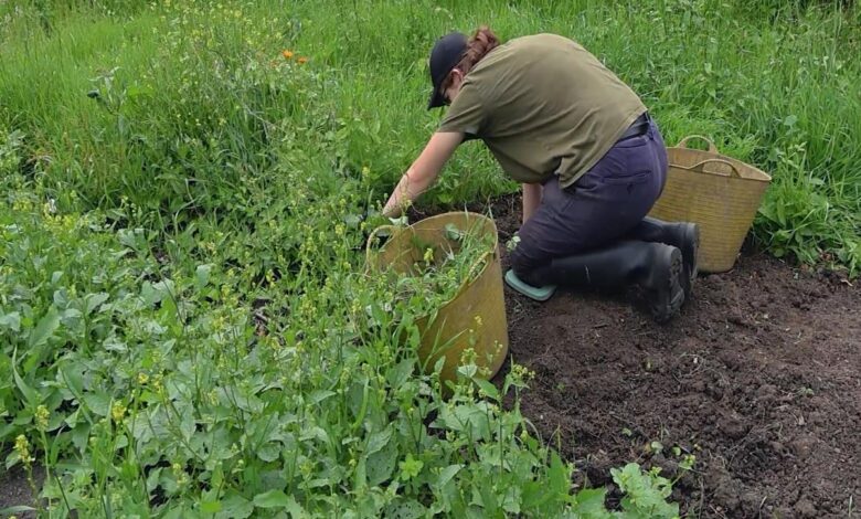 Horton Farm receives £20,000 from National Lottery fund to boost volunteer programme