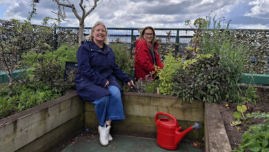 Warrington Sky Garden Receives £20k National Lottery Boost for Events and Wellbeing