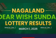 Nagaland lottery results live for Dear Wish Sunday (March 1, 2026): ₹1 crore winning number and others here