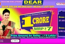 Nagaland State Lottery Result: May 27, 2026, 8 PM Live - Watch Streaming Of Winners List Of Dear Dream Sambad Night Wednesday Weekly Draw